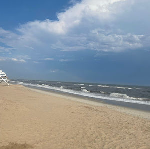 Meet your Posher, Lila